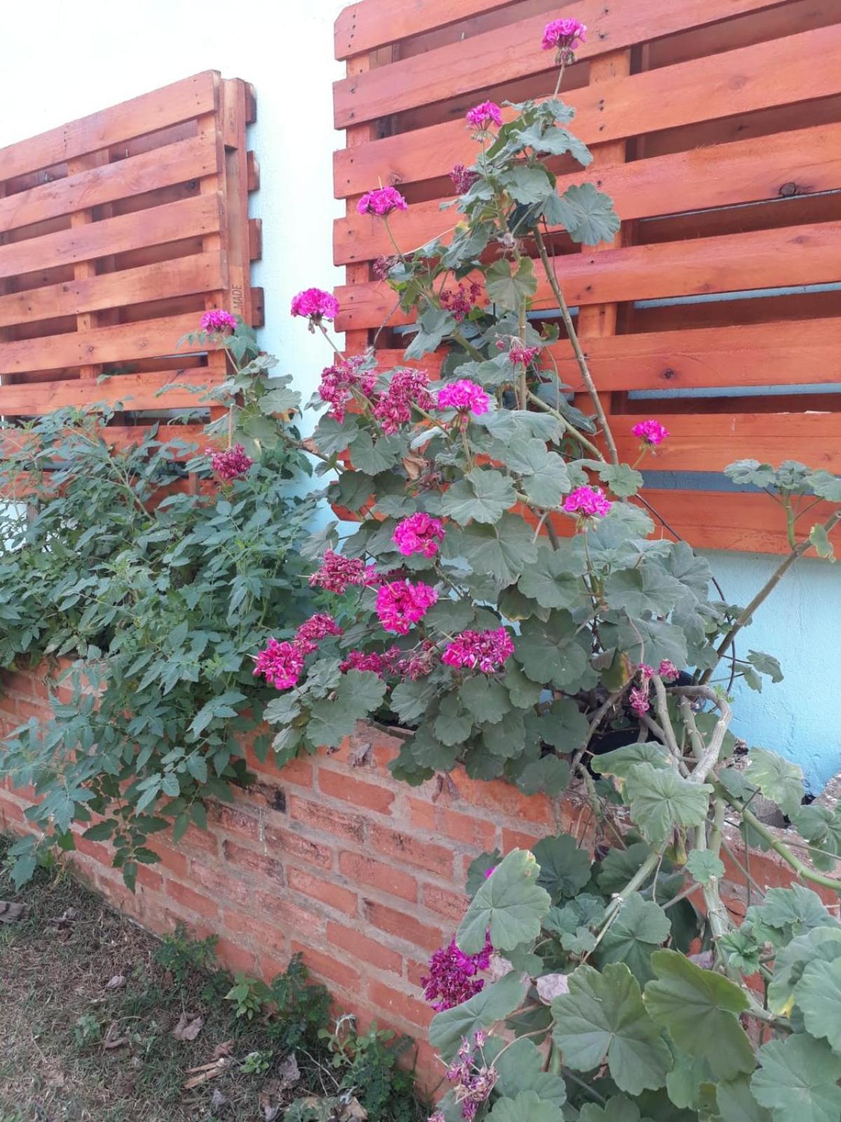 Chacara Recanto Suico Piracicaba Villa Exterior foto